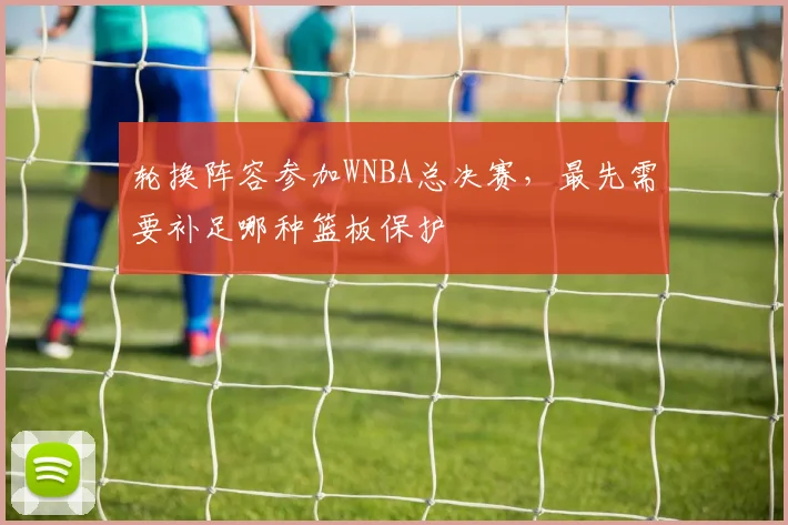 轮换阵容参加WNBA总决赛,最先需要补足哪种篮板保护